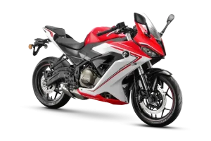 SRK 300